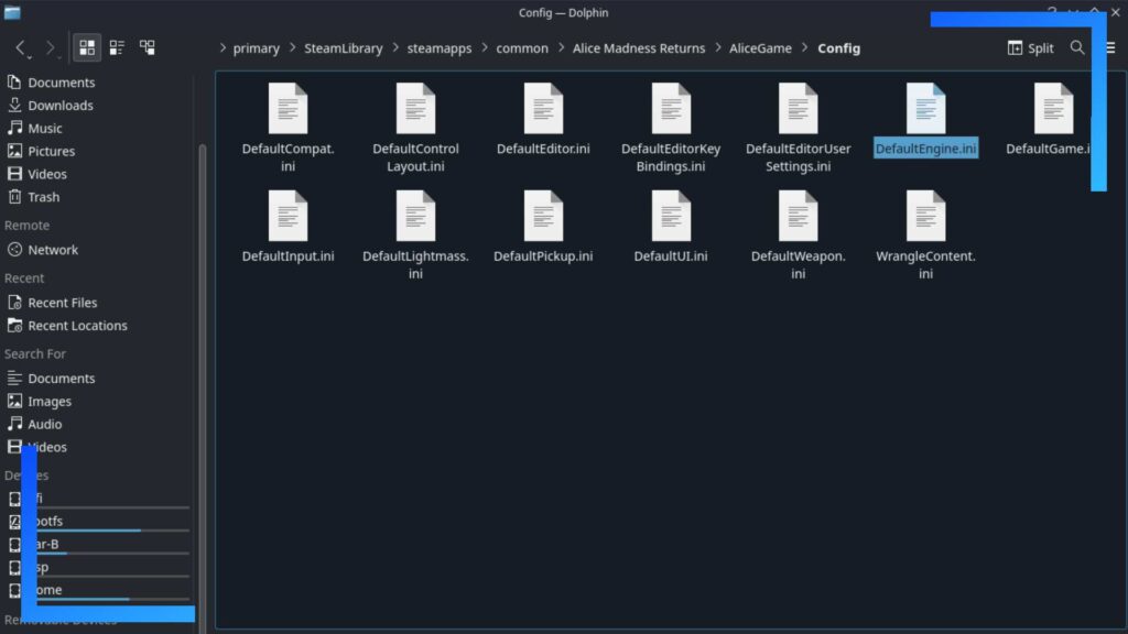 Screenshot showing the Dolphin File Explorer on Steam Deck with the file highlighted.