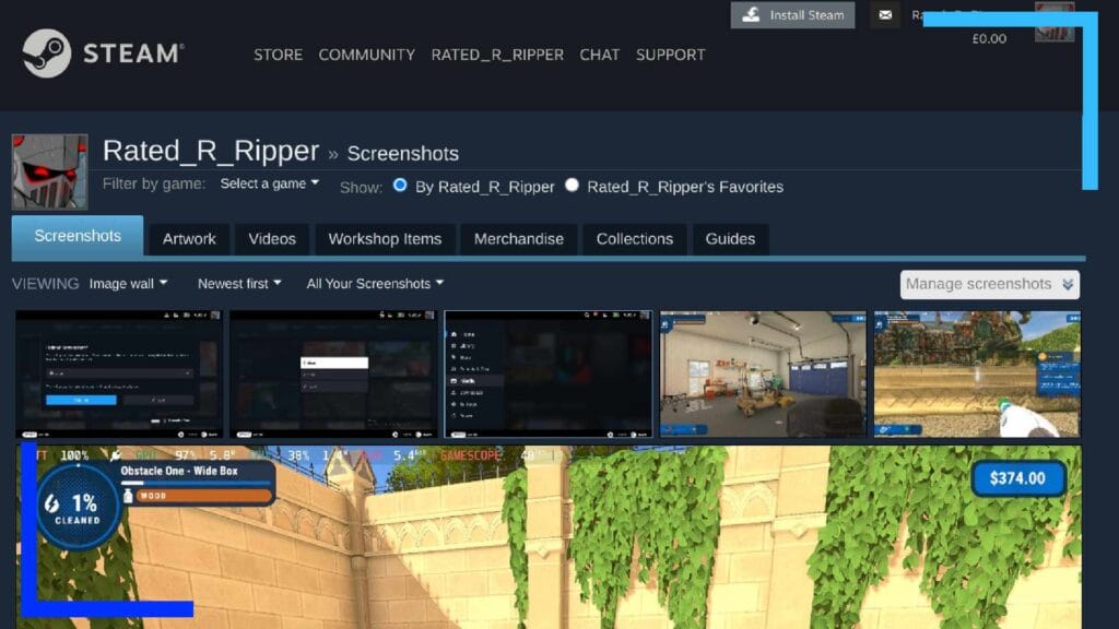 Screenshot of the Steam website where the link in the article will take you.