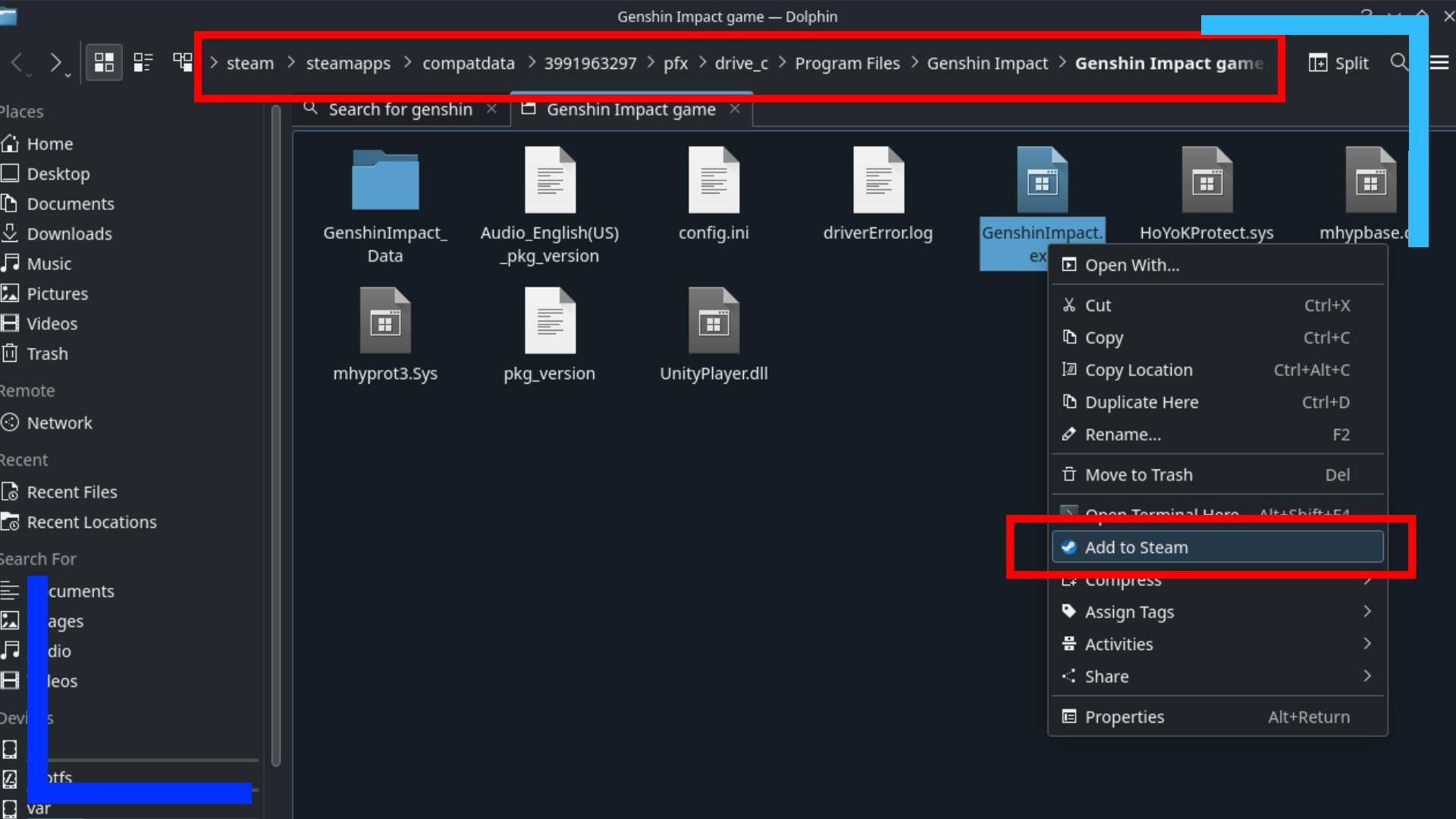 Screenshot of the Dolphin File Explorer with red boxes to highlight where to focus on.