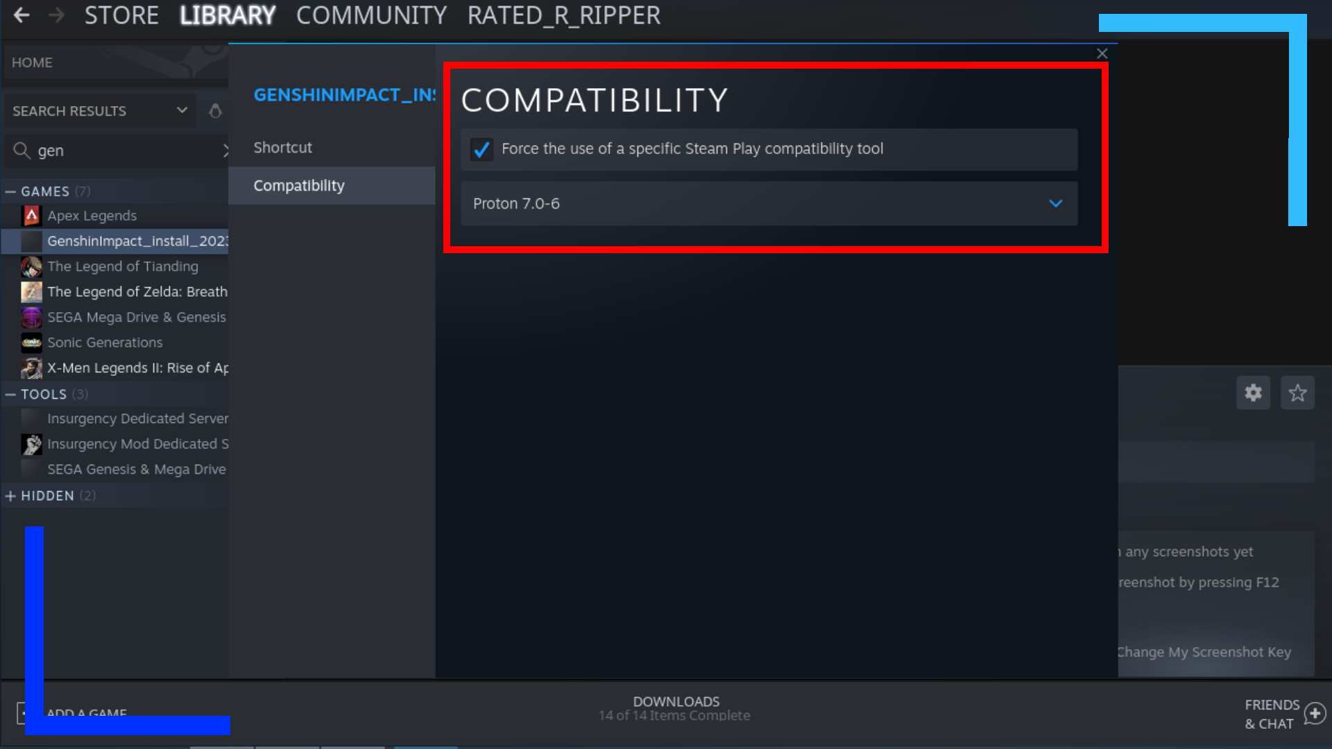 Screenshot of the properties panel on Steam Deck.