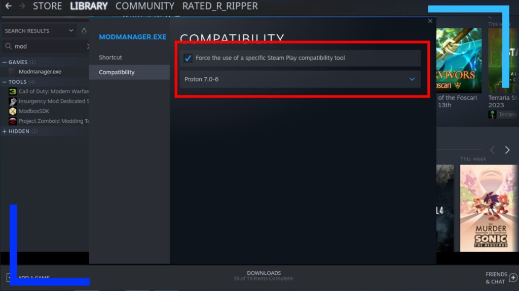 Screenshot of Steam with the properties window open and red box to show where the article is talking about. 