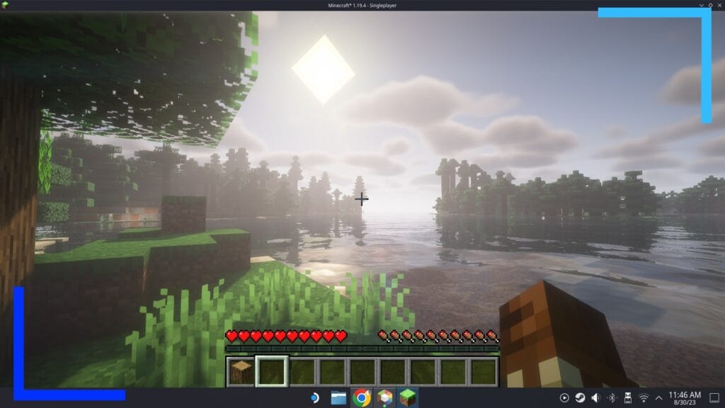 My screenshot of Minecraft with mods showing a large lake and a tree to the left. This shows the mods running on my Steam Deck version of Minecraft.