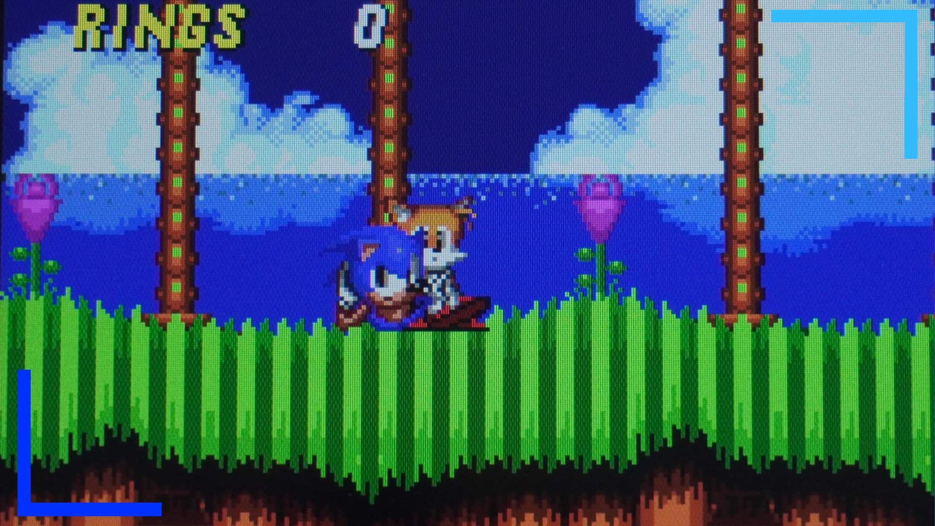 A close up of the Miyoo Mini Plus' screen while Sonic 2 is running to show the pixel density.